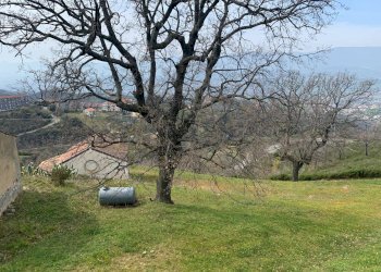 Foto 10 - Terreno agricolo Luzzi - foto 10