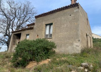 Foto 13 - Terreno agricolo Luzzi - foto 13