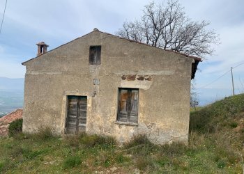 Foto 15 - Terreno agricolo Luzzi - foto 15