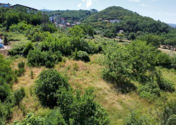 Foto 2 - Terreno edificabile via Oscar cavaliere, Casali del Manco - foto 2