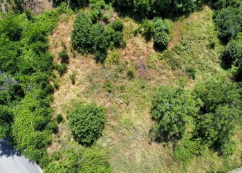 Foto 13 - Terreno edificabile via Oscar cavaliere, Casali del Manco - foto 13