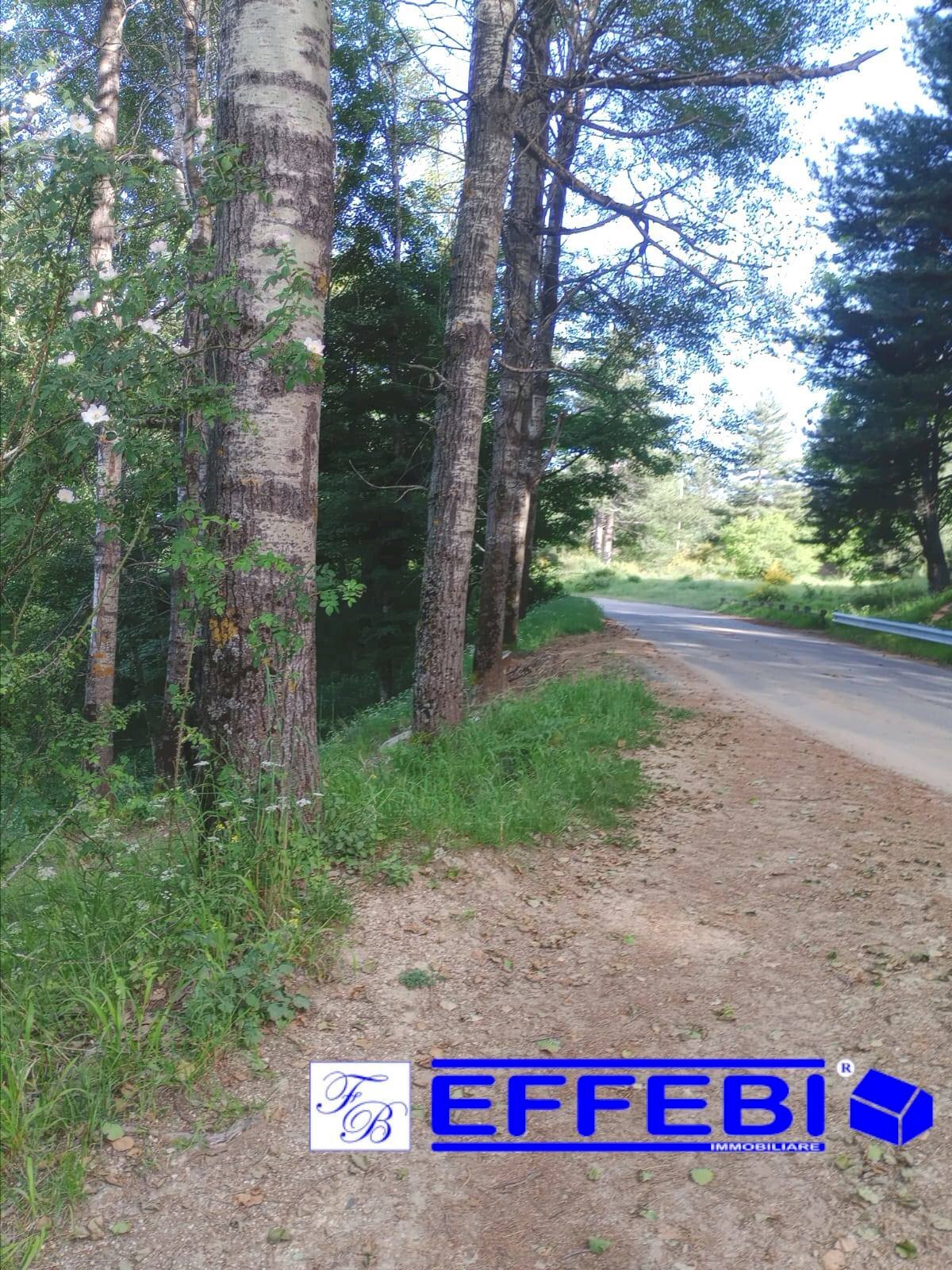 Foto 1 - Terreno agricolo Spezzano della Sila - foto 1