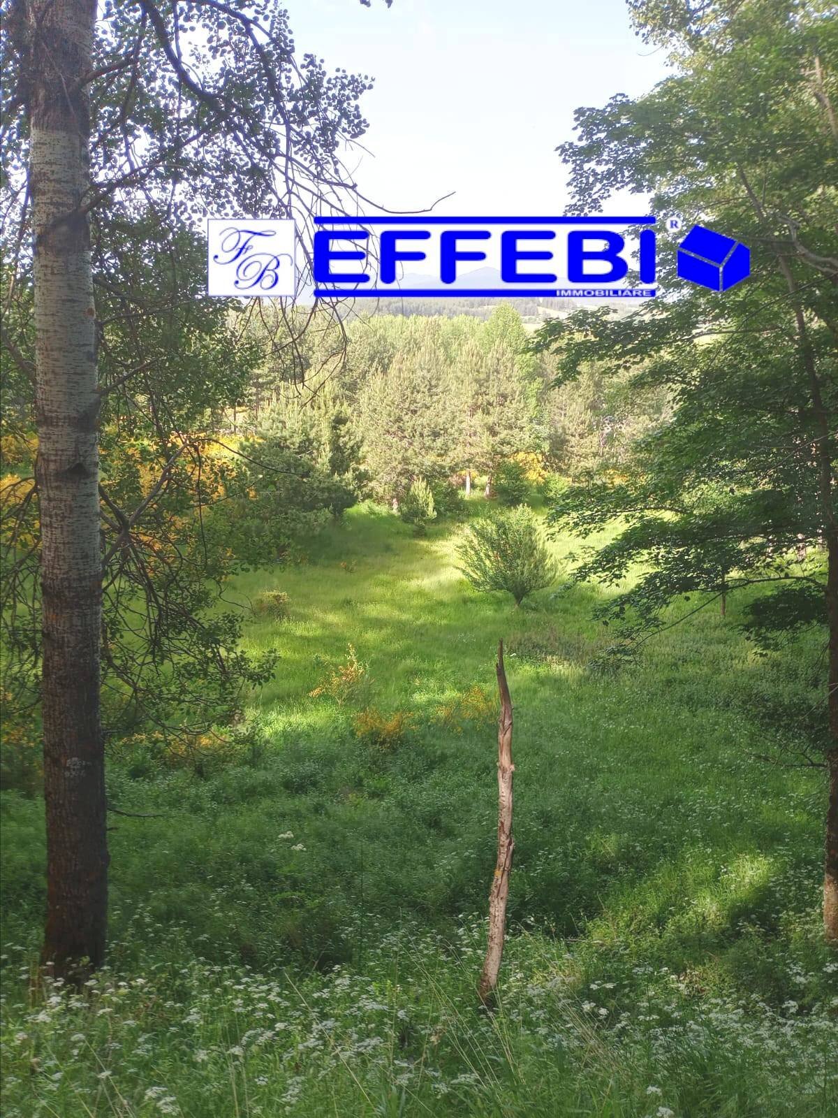 Foto 3 - Terreno agricolo Spezzano della Sila - foto 3