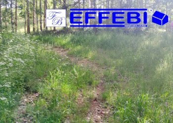 Foto 6 - Terreno agricolo Spezzano della Sila - foto 6