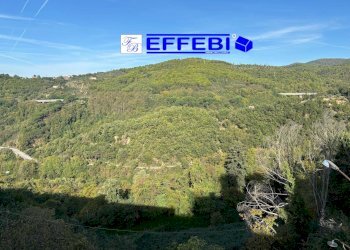 Foto 8 - Casa indipendente via roma
 
13/15, Celico - foto 8