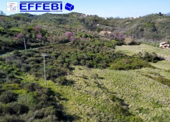 Foto 13 - Agriturismo Contrada Fiego, Cosenza - foto 13