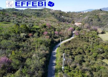 Foto 22 - Agriturismo Contrada Fiego, Cosenza - foto 22