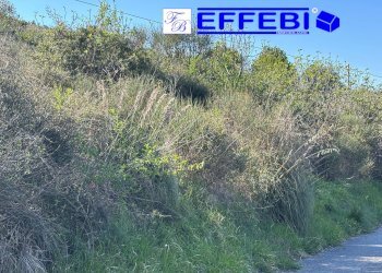 Foto 29 - Agriturismo Contrada Fiego, Cosenza - foto 29