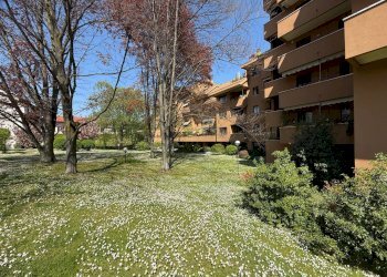 Foto 4 - Trilocale via donizetti
 
8, Monza - foto 4