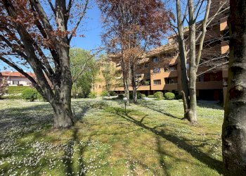 Foto 11 - Trilocale via donizetti
 
8, Monza - foto 11