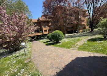 Foto 32 - Trilocale via donizetti
 
8, Monza - foto 32