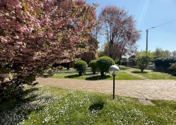 Foto 33 - Trilocale via donizetti
 
8, Monza - foto 33