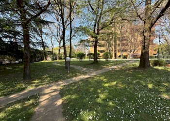 Foto 38 - Trilocale via donizetti
 
8, Monza - foto 38