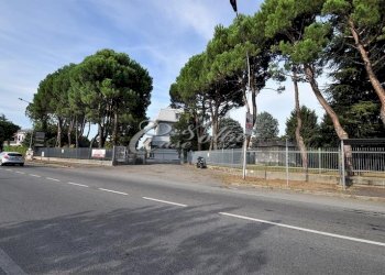 Foto 3 - Capannone Viale Cinque Giornate, Caronno Pertusella - foto 3