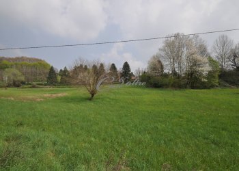 Foto 7 - Terreno agricolo Via Faleggia, Capiago Intimiano - foto 7