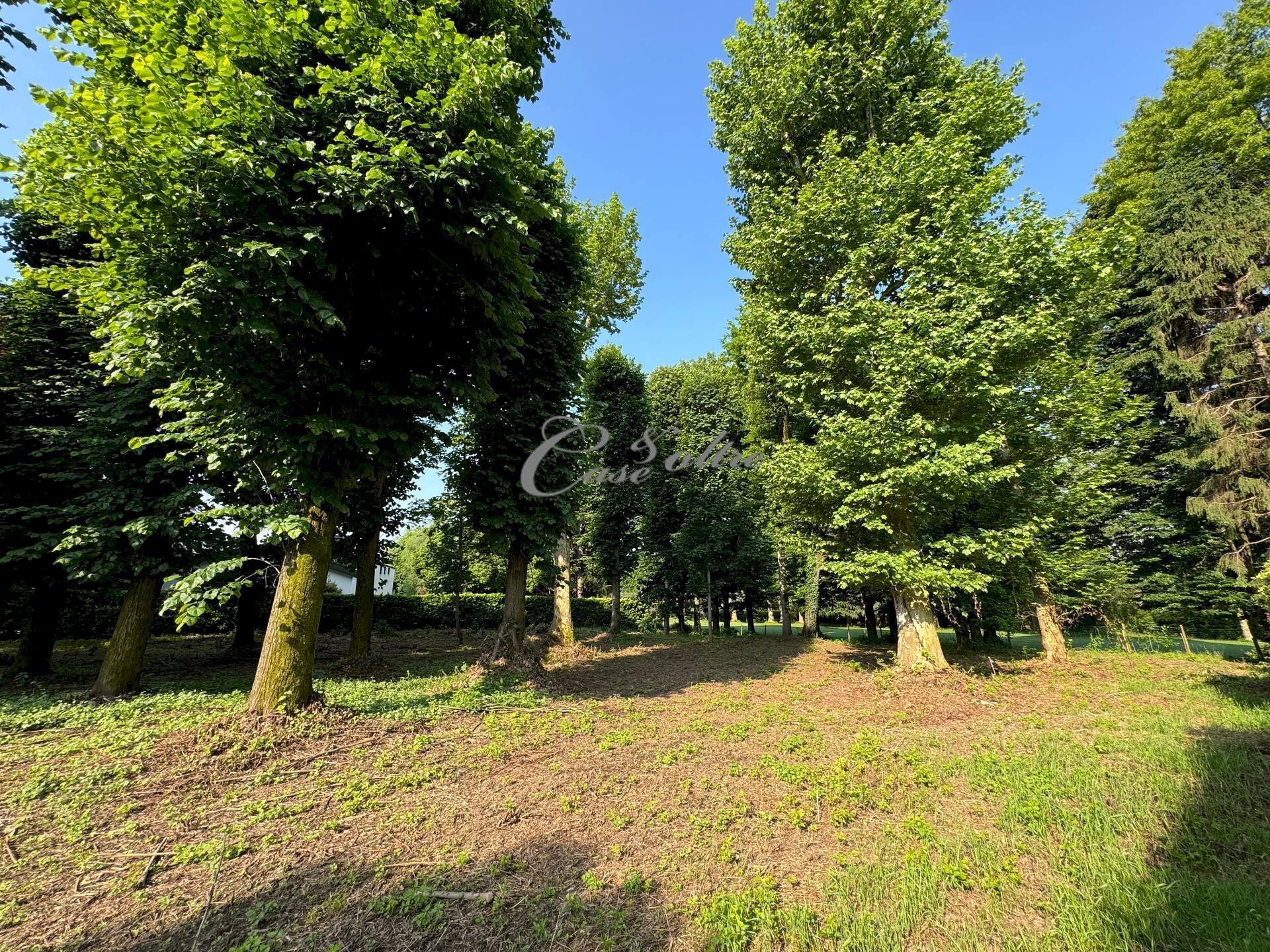 Foto 2 - Terreno edificabile Strada Privata del Faggio, Carimate - foto 2