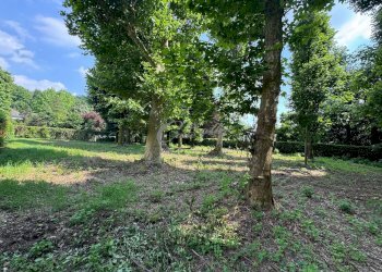 Foto 9 - Terreno edificabile Strada Privata del Faggio, Carimate - foto 9