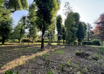 Foto 10 - Terreno edificabile Strada Privata del Faggio, Carimate - foto 10