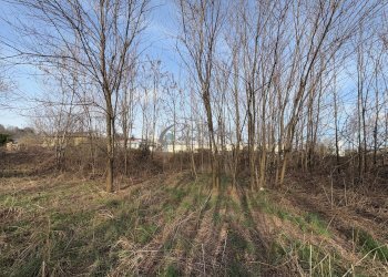 Foto 13 - Terreno edificabile Via Brianza, Cantù - foto 13