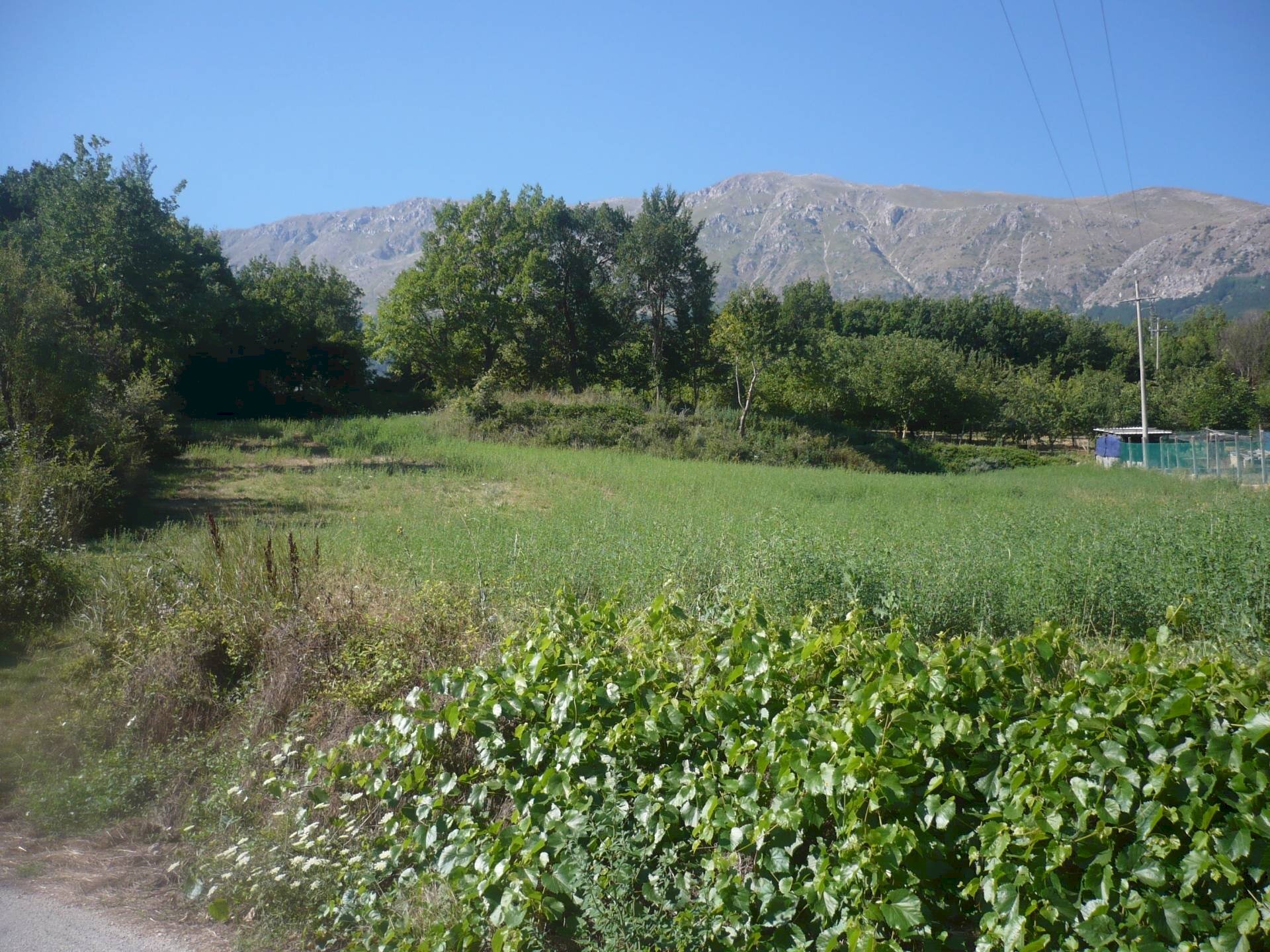 Foto 2 - Terreno edificabile via sopra la fonte, Ocre - foto 2