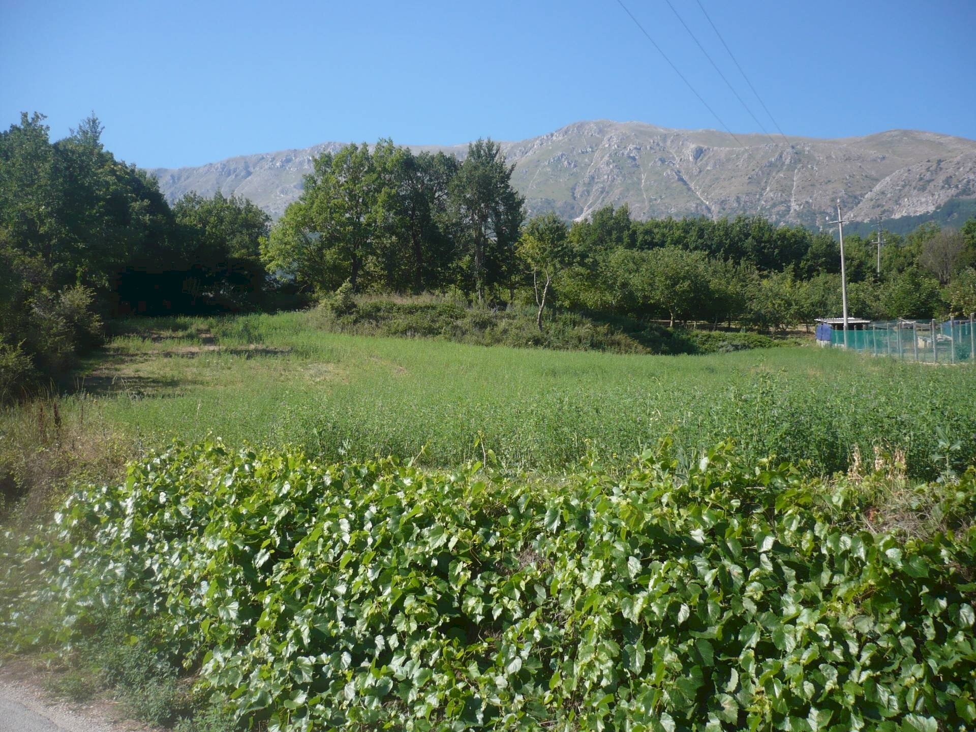 Foto 3 - Terreno edificabile via sopra la fonte, Ocre - foto 3