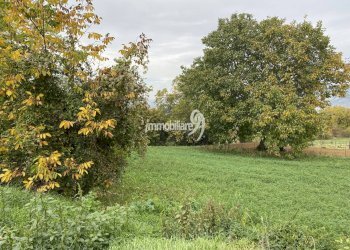 Foto 5 - Terreno edificabile Via Fontamara
 
1, Ocre - foto 5