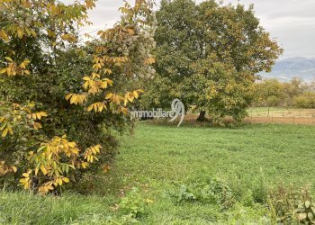 Foto 6 - Terreno edificabile Via Fontamara
 
1, Ocre - foto 6