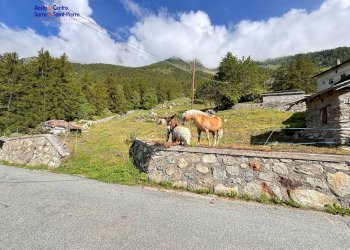 Foto 12 - Magazzino Località Chez Merloz, Bionaz - foto 12