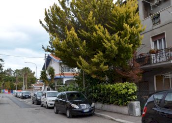 Foto 29 - Appartamento via Luciani, Montesilvano - foto 28