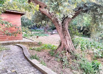 Foto 39 - Villa Contrada Collevento, Montesilvano - foto 39