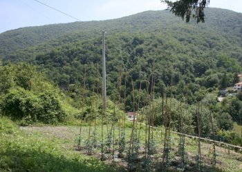 Foto 35 - Casa semi indipendente Via Pernecco Inferiore, Serra Riccò - foto 35