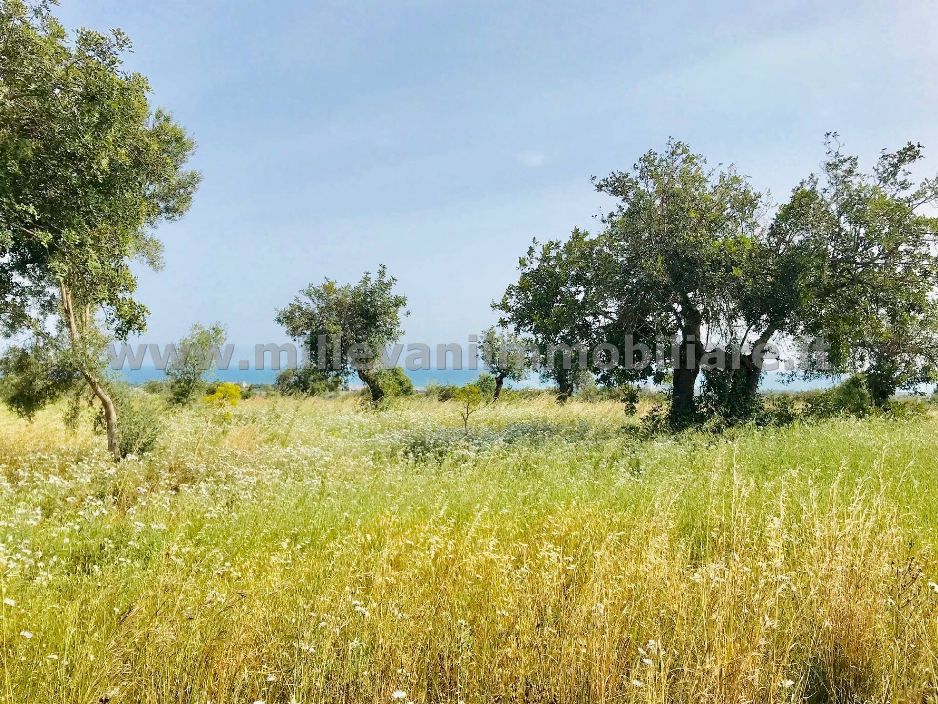 Foto 3 - Terreno agricolo C.da Bellamagna, Modica - foto 3