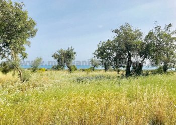 Foto 3 - Terreno agricolo C.da Bellamagna, Modica - foto 3