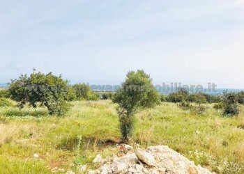 Foto 10 - Terreno agricolo C.da Bellamagna, Modica - foto 10