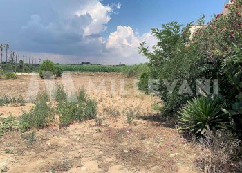 Foto 5 - Terreno edificabile zona CT1 S.P. 67, Ispica - foto 5