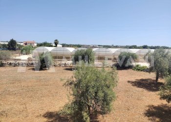 Foto 14 - Casa indipendente Contrada Cava d'Aliga, Scicli - foto 14