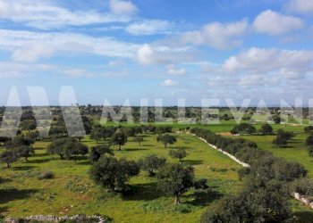 Foto 19 - Rustico Scicli - foto 19