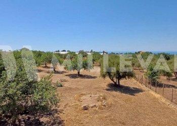 Foto 21 - Villa C.da Spinazza, Scicli - foto 21