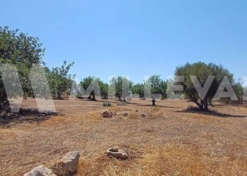 Foto 22 - Villa C.da Spinazza, Scicli - foto 22