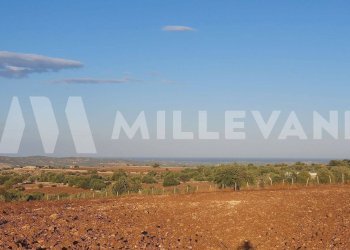 Foto 1 - Terreno edificabile Rosolini - foto 1