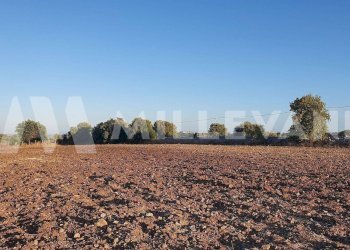 Foto 5 - Terreno edificabile Rosolini - foto 5