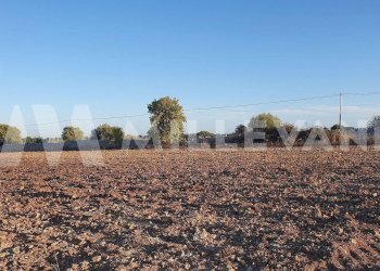 Foto 7 - Terreno edificabile Rosolini - foto 7