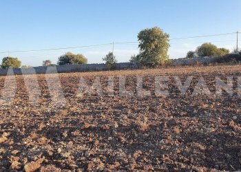 Foto 9 - Terreno edificabile Rosolini - foto 9