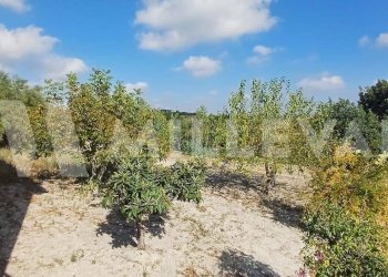 Foto 27 - Villa Modica - foto 27