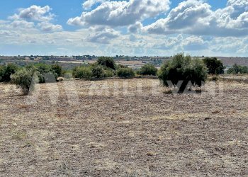 Foto 5 - Terreno agricolo C.da Mauto, Modica - foto 5