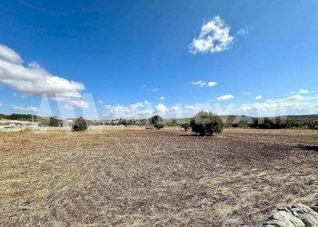 Foto 9 - Terreno agricolo C.da Mauto, Modica - foto 9