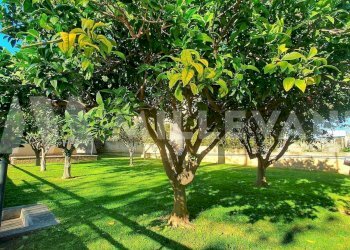 Foto 24 - Villa Via M. L. King, Ispica - foto 24