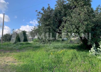 Foto 23 - Rustico Scicli - foto 23