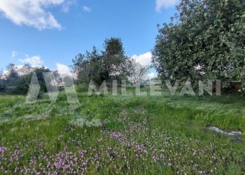 Foto 24 - Rustico Scicli - foto 24