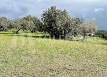 Foto 11 - Villa c.da scorrione
 
snc, Modica - foto 11